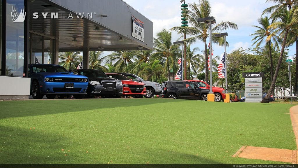 SYNLawn artificial grass-commercial-auto car dealer sales center